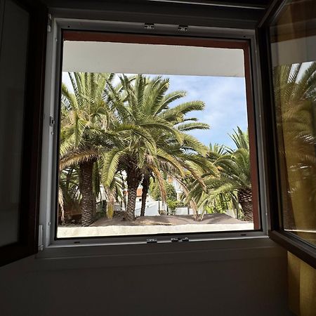Phoenix Canariensis San Juan de la Rambla Екстер'єр фото